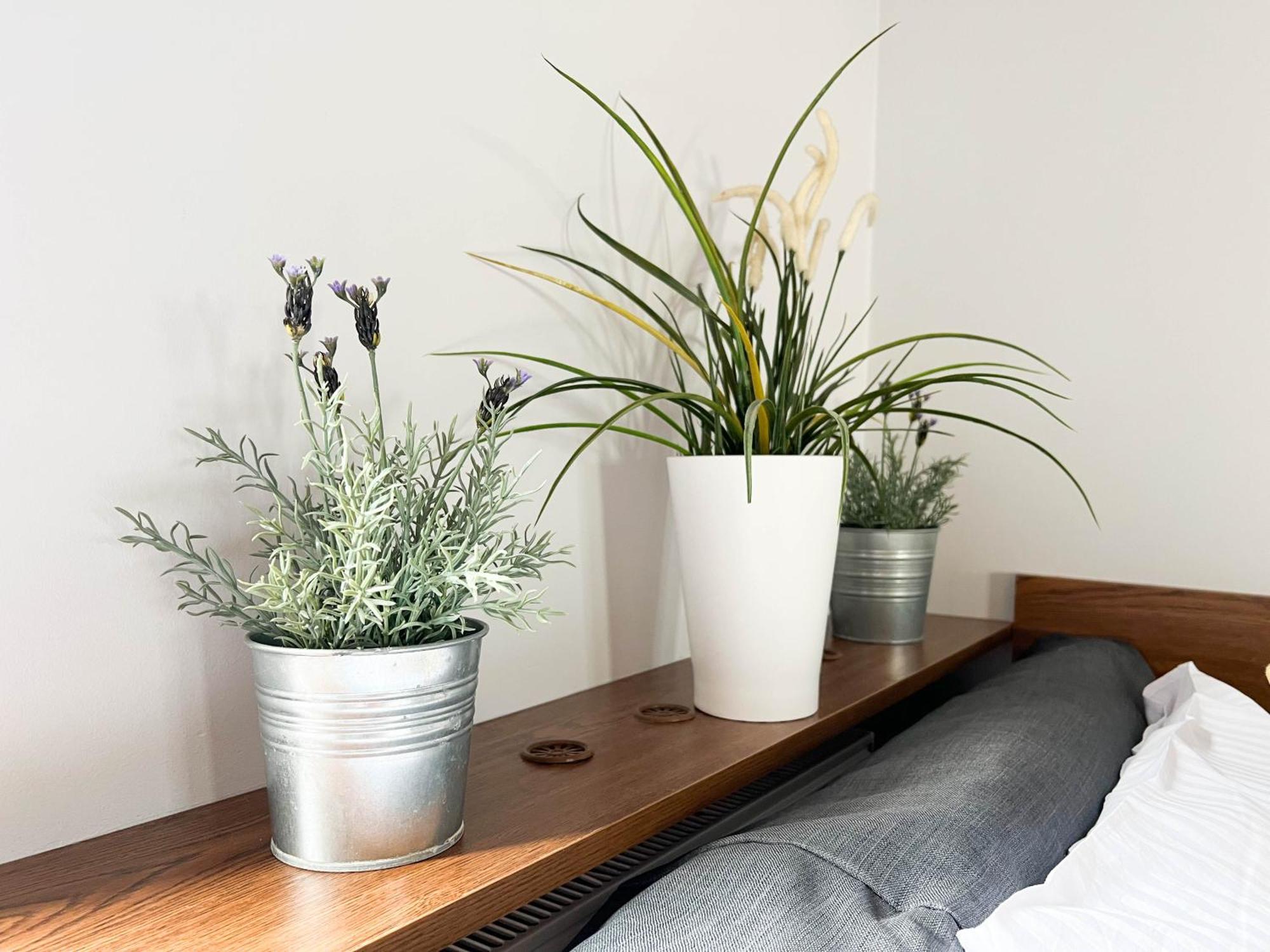 3D Szlak 77 Apartament クラクフ エクステリア 写真